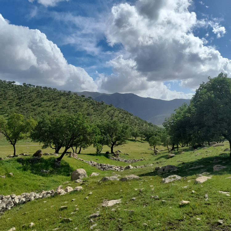 کوردی خوارێن کوردی خوارێن